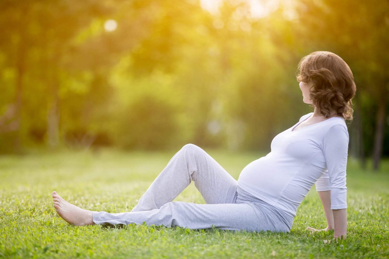Young Pregnant Woman Sitting On Grass